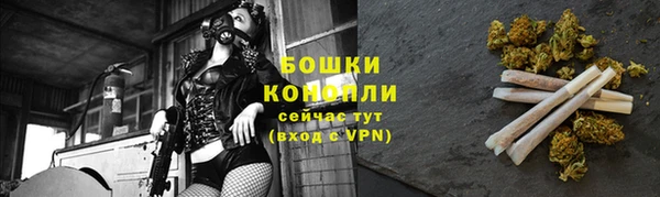 хмурый Михайловск