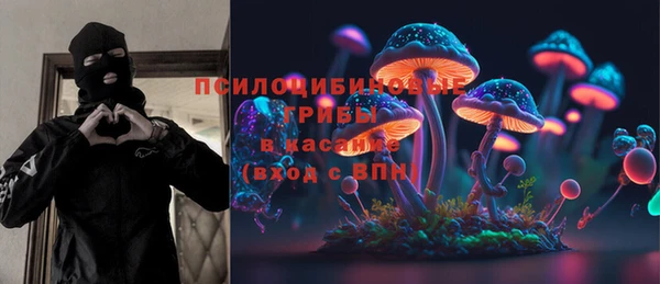 хмурый Михайловск