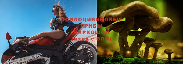 хмурый Михайловск