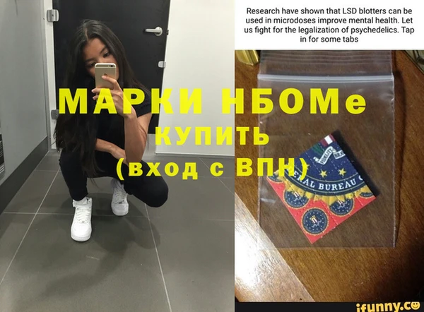 хмурый Михайловск