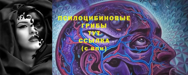 хмурый Михайловск