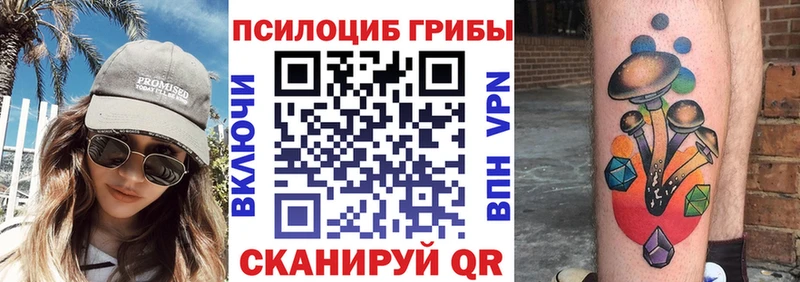 Псилоцибиновые грибы ЛСД  даркнет официальный сайт  Иланский 